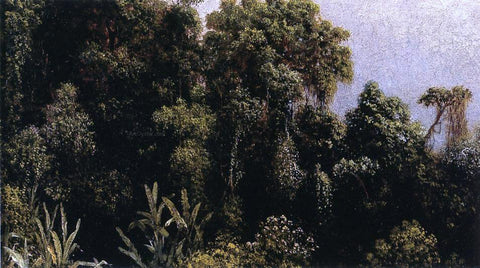  Martin Johnson Heade Forest Study, Brazil - Hand Painted Oil Painting