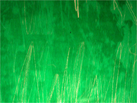  Our Original Collection Green Grass Abstract - Hand Painted Oil Painting