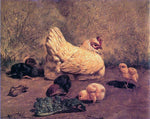  William Baptiste Baird A Hen and Chicks - Hand Painted Oil Painting