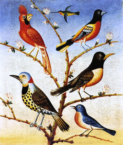  Thomas Coke Ruckle Humming Bird, Red Bird, Baltimore Bird, Robbin, Flicker, Blue Bird - Hand Painted Oil Painting