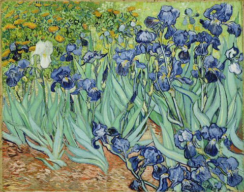  Vincent Van Gogh Irises - Hand Painted Oil Painting