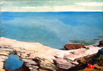  Winslow Homer Natural Bridge, Bahamas - Hand Painted Oil Painting