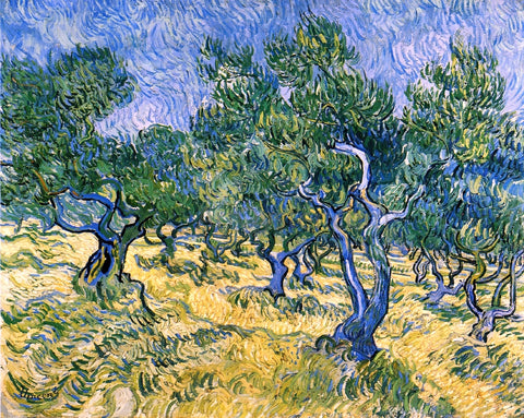  Vincent Van Gogh Olive Grove - Hand Painted Oil Painting