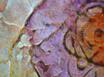  Our Original Collection Orange Purple Flower Abstract - Hand Painted Oil Painting