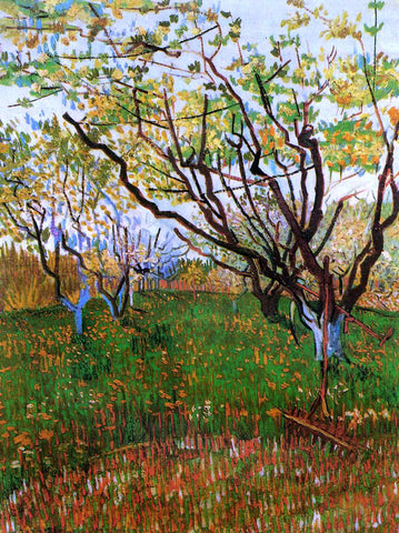  Vincent Van Gogh Orchard in Bloom - Hand Painted Oil Painting