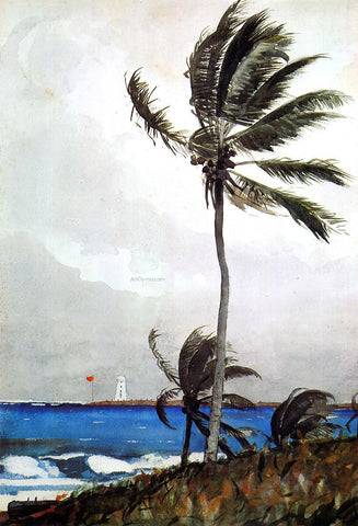  Winslow Homer Palm Tree, Nassau - Hand Painted Oil Painting