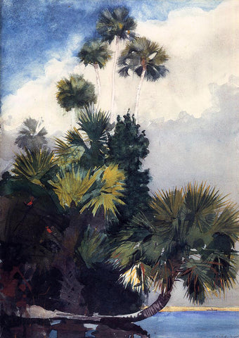  Winslow Homer Palm Trees, Florida - Hand Painted Oil Painting