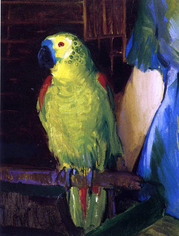  George Wesley Bellows A Parrot - Hand Painted Oil Painting