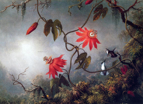  Martin Johnson Heade Passion Flowers and Hummingbirds - Hand Painted Oil Painting