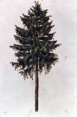  Albrecht Durer Pine - Hand Painted Oil Painting