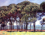  Claude Oscar Monet Pine Trees, Cap d'Antibes - Hand Painted Oil Painting