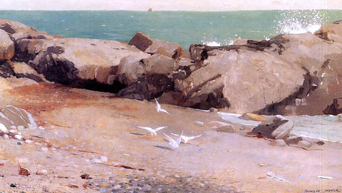  Winslow Homer Rocky Coast and Gulls - Hand Painted Oil Painting
