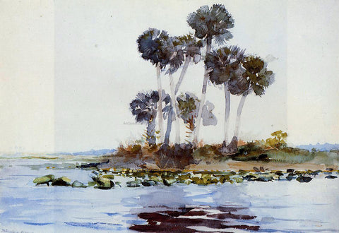  Winslow Homer St. John's River, Florida - Hand Painted Oil Painting