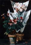  Alfred Emile Leopold Stevens Still Life wit Potted Geraniums - Hand Painted Oil Painting