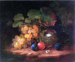  George Forster Still Life with Fruit, Bird's Nest and Broken Egg - Hand Painted Oil Painting