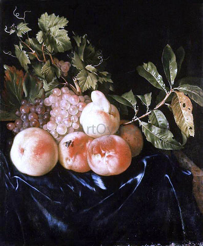  Willem Frederik Van Royen Still-Life of Peaches and Grapes - Hand Painted Oil Painting
