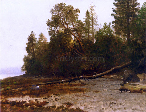  Albert Bierstadt The Fallen Tree - Hand Painted Oil Painting