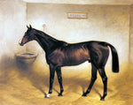  Basil Nightingale The Racehorse Abbeywood In A Stable - Hand Painted Oil Painting