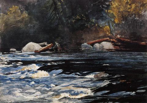  Winslow Homer The Rapids, Husdon River, Adirondacks - Hand Painted Oil Painting