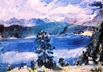  Lovis Corinth The Walchensee with a Larch Tree - Hand Painted Oil Painting