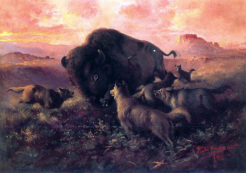  Frank Tenney Johnson The Wounded Buffalo - Hand Painted Oil Painting