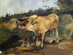  Henri De Toulouse-Lautrec Two Bulls Wearing a Yoke - Hand Painted Oil Painting