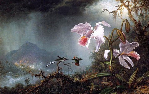  Martin Johnson Heade Two Fighting Hummingbirds with Two Orchids - Hand Painted Oil Painting