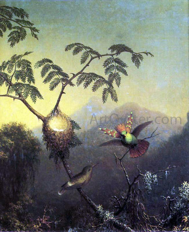  Martin Johnson Heade Two Hummingbirds: Tufted Coquettes - Hand Painted Oil Painting