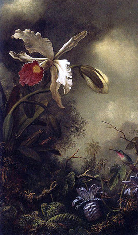  Martin Johnson Heade White Orchid and Hummingbird - Hand Painted Oil Painting