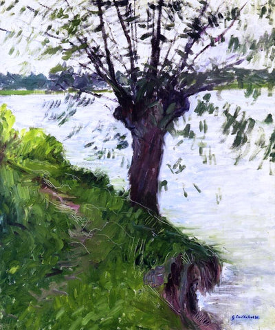  Gustave Caillebotte Willow on the Banks of the Seine - Hand Painted Oil Painting